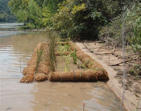 Coconut 'coir log' installation on Lake Austin helps prevent erosion